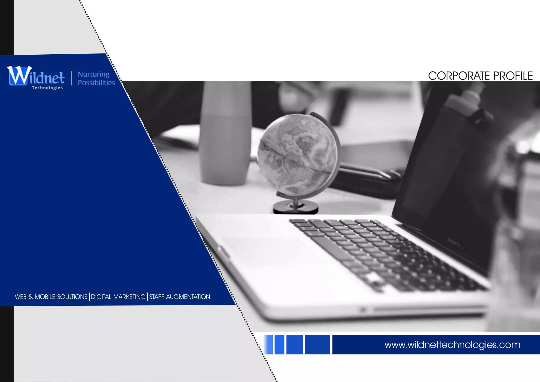 Wildnet Technologies | PDF