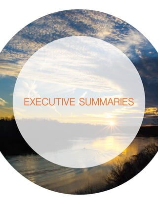 executive summaries
 