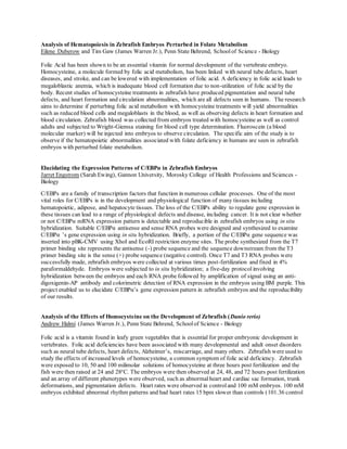 Analysis of Hematopoiesis in Zebrafish Embryos Perturbed in Folate Metabolism
Eilene Duberow and Tim Gaw (James Warren Jr.), Penn State Behrend, Schoolof Science - Biology
Folic Acid has been shown to be an essential vitamin for normal development of the vertebrate embryo.
Homocysteine, a molecule formed by folic acid metabolism, has been linked with neural tube defects, heart
diseases, and stroke, and can be lowered with implementation of folic acid. A deficiency in folic acid leads to
megaloblastic anemia, which is inadequate blood cell formation due to non-utilization of folic acid by the
body. Recent studies of homocysteine treatments in zebrafish have produced pigmentation and neural tube
defects, and heart formation and circulation abnormalities, which are all defects seen in humans. The research
aims to determine if perturbing folic acid metabolism with homocysteine treatments will yield abnormalities
such as reduced blood cells and megaloblasts in the blood, as well as observing defects in heart formation and
blood circulation. Zebrafish blood was collected from embryos treated with homocysteine as well as control
adults and subjected to Wright-Giemsa staining for blood cell type determination. Fluoroscein (a blood
molecular marker) will be injected into embryos to observe circulation. The specific aim of the study is to
observe if the hematopoietic abnormalities associated with folate deficiency in humans are seen in zebrafish
embryos with perturbed folate metabolism.
Elucidating the Expression Patterns of C/EBPα in Zebrafish Embryos
Jarret Engstrom (Sarah Ewing), Gannon University, Morosky College of Health Professions and Sciences -
Biology
C/EBPs are a family of transcription factors that function in numerous cellular processes. One of the most
vital roles for C/EBPs is in the development and physiological function of many tissues including
hematopoietic, adipose, and hepatocyte tissues. The loss of the C/EBPs ability to regulate gene expression in
these tissues can lead to a range of physiological defects and disease, including cancer. It is not clear whether
or not C/EBPα mRNA expression pattern is detectable and reproducible in zebrafish embryos using in situ
hybridization. Suitable C/EBPα antisense and sense RNA probes were designed and synthesized to examine
C/EBPα ’s gene expression using in situ hybridization. Briefly, a portion of the C/EBPα gene sequence was
inserted into pBK-CMV using XhoI and EcoRI restriction enzyme sites. The probe synthesized from the T7
primer binding site represents the antisense (-) probe sequence and the sequence downstream from the T3
primer binding site is the sense (+) probe sequence (negative control). Once T7 and T3 RNA probes were
successfully made, zebrafish embryos were collected at various times post-fertilization and fixed in 4%
paraformaldehyde. Embryos were subjected to in situ hybridization; a five-day protocolinvolving
hybridization between the embryos and each RNA probe followed by amplification of signal using an anti-
digoxigenin-AP antibody and colorimetric detection of RNA expression in the embryos using BM purple. This
project enabled us to elucidate C/EBPα’s gene expression pattern in zebrafish embryos and the reproducibility
of our results.
Analysis of the Effects of Homocysteine on the Development of Zebrafish (Danio rerio)
Andrew Halmi (James Warren Jr.), Penn State Behrend, Schoolof Science - Biology
Folic acid is a vitamin found in leafy green vegetables that is essential for proper embryonic development in
vertebrates. Folic acid deficiencies have been associated with many developmental and adult onset disorders
such as neural tube defects, heart defects, Alzheimer’s, miscarriage, and many others. Zebrafish were used to
study the effects of increased levels of homocysteine, a common symptom of folic acid deficiency. Zebrafish
were exposed to 10, 50 and 100 milimolar solutions of homocysteine at three hours post fertilization and the
fish were then raised at 24 and 28o
C. The embryos were then observed at 24, 48, and 72 hours post fertilization
and an array of different phenotypes were observed, such as abnormalheart and cardiac sac formation, trunk
deformations, and pigmentation defects. Heart rates were observed in controland 100 mM embryos. 100 mM
embryos exhibited abnormal rhythm patterns and had heart rates 15 bpm slower than controls (101.36 control
 