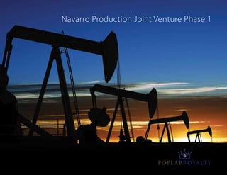 Navarro Production Joint Venture Phase 1
 