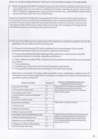 UN Performance Appraisal Report