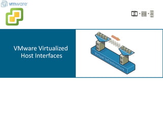 VMware Virtualized
Host Interfaces
 