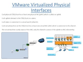 VMware Virtualized Physical
Interfaces
 