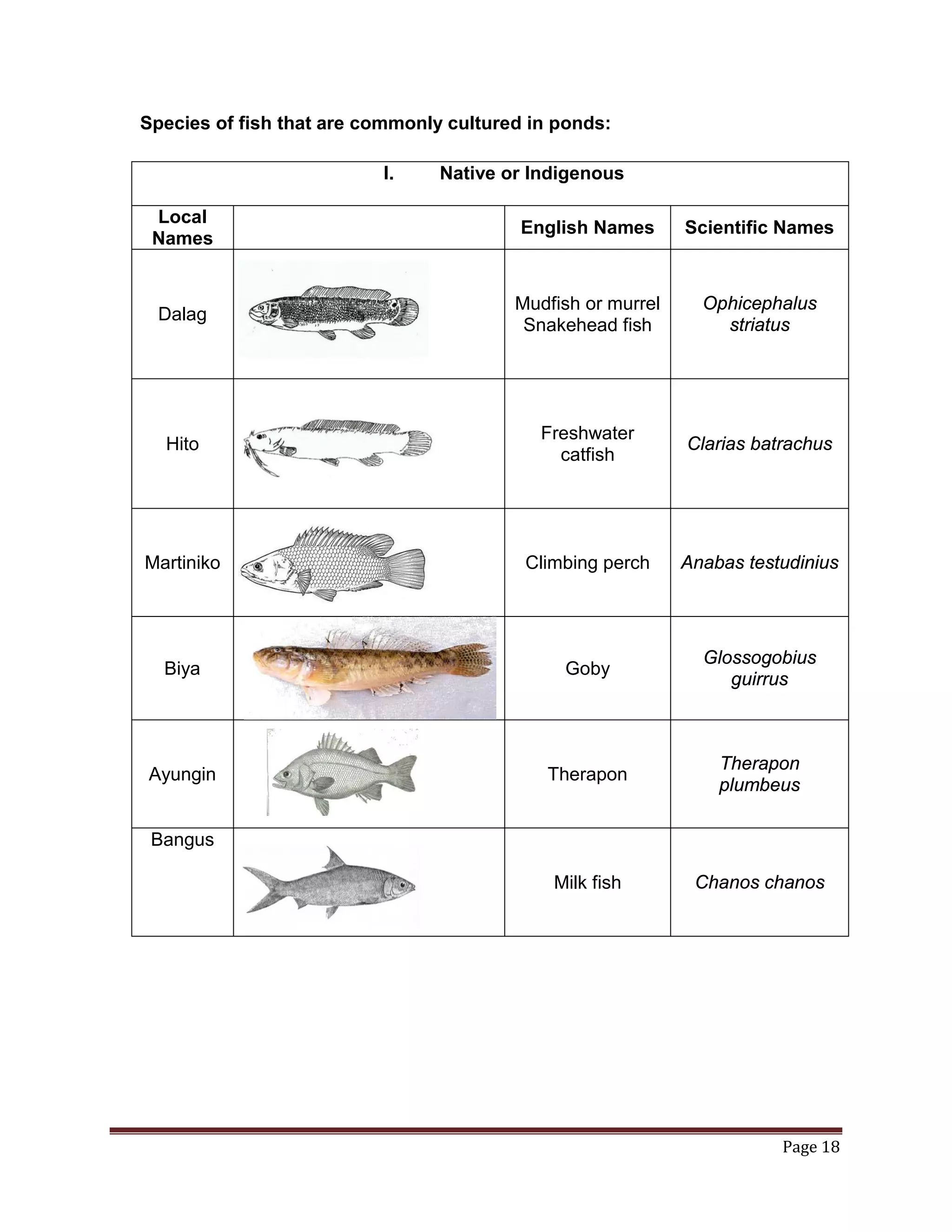 Fishery Arts 7 | PDF