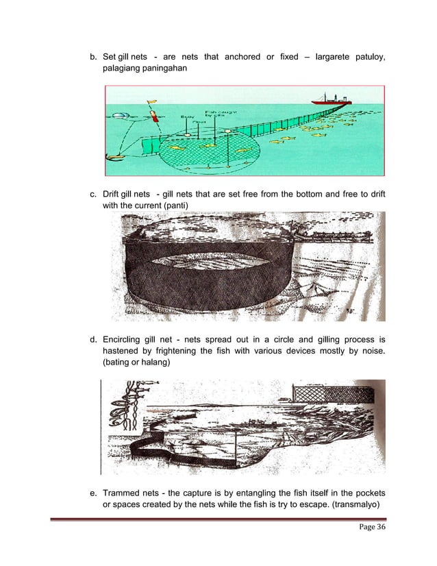 Fishery Arts 7