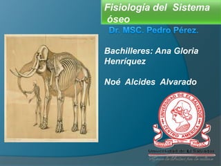 Fisiología del Sistema
óseo
Bachilleres: Ana Gloria
Henríquez
Noé Alcides Alvarado
 