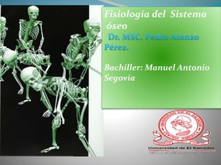 Fisiología del Sistema
óseo
Bachiller: Manuel Antonio
Segovia
 