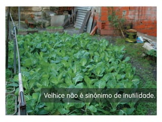 Action for Age 2011 | projetos selecionados 