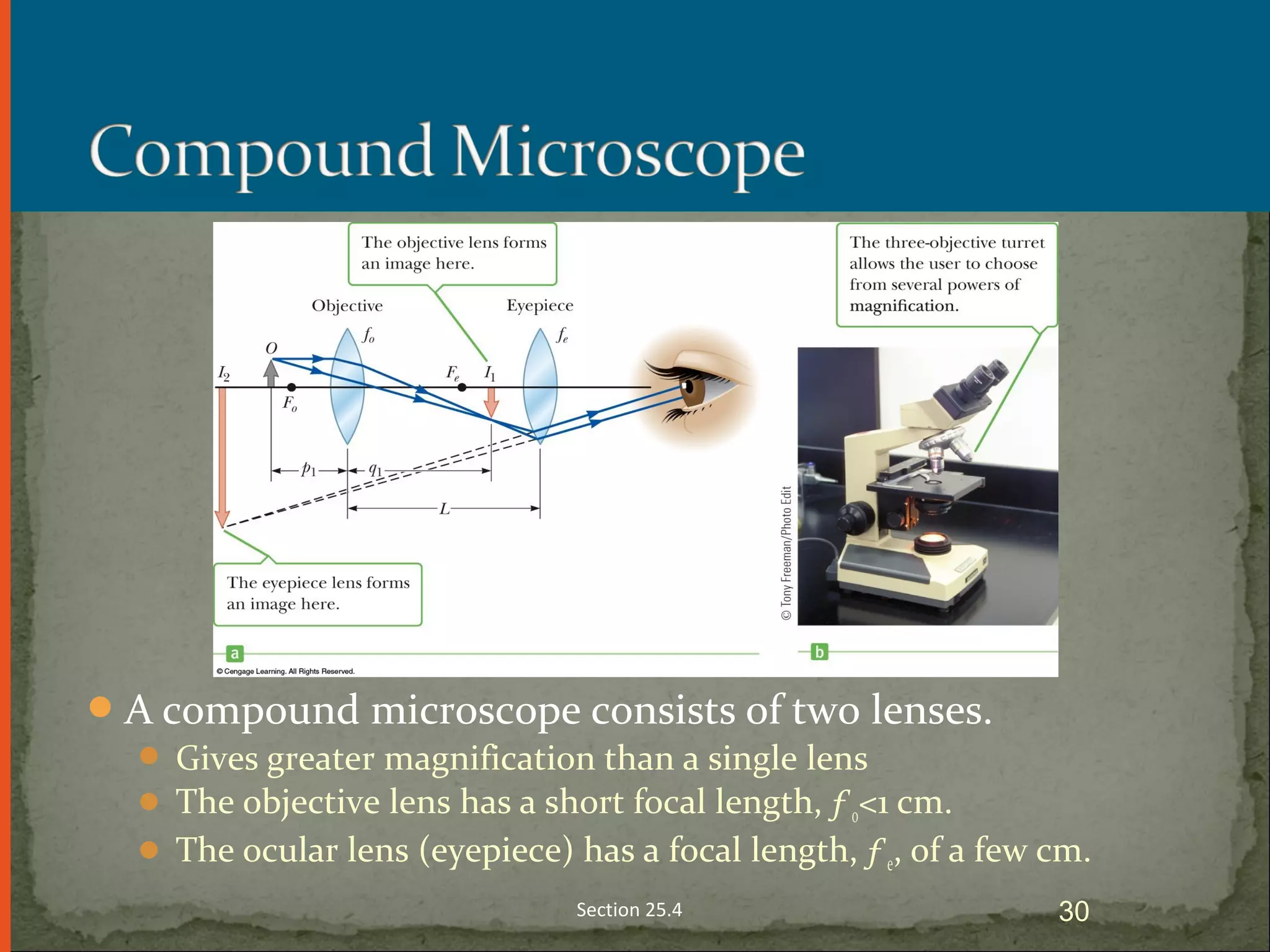 A compound microscope consists of two lenses.
 Gives greater magnification than a single lens
 The objective lens has a short focal length, ƒo<1 cm.
 The ocular lens (eyepiece) has a focal length, ƒe, of a few cm.
Section 25.4 30
 