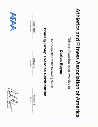 AFAA | PDF