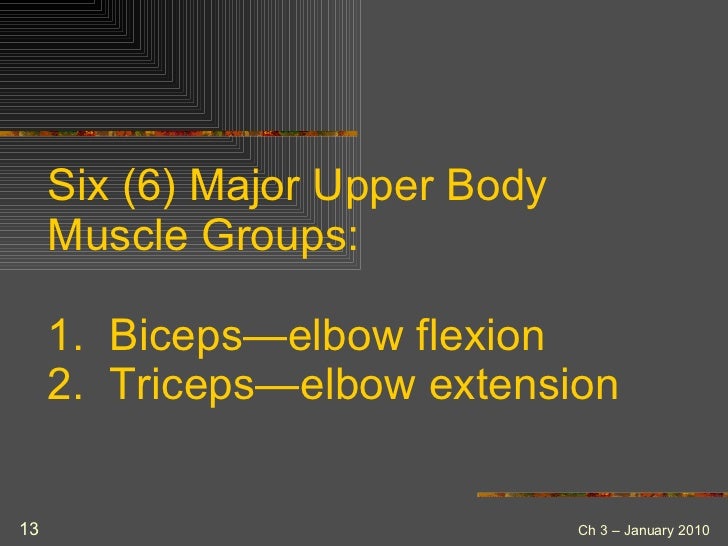 Kinesiology opposing muscle group homework 06 image