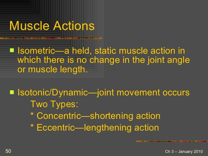 Afaa kinesiology opposing muscle group homework picture