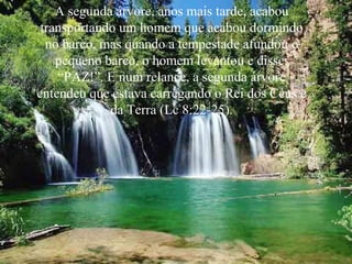 A segunda árvore, anos mais tarde, acabou transportando um homem que acabou dormindo no barco, mas quando a tempestade afundou o pequeno barco, o homem levantou e disse: “PAZ!”. E num relance, a segunda árvore entendeu que estava carregando o Rei dos Céus e da Terra (Lc 8:22-25). 