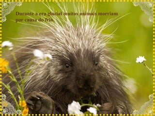 Durante a era glacial muitos animais morriam por causa do frio.