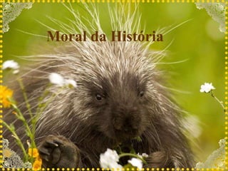 Moral da História