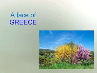 A face of  GREECE 