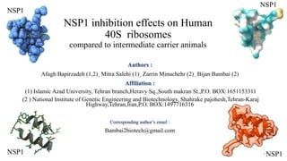 NSP1 inhibition effects on Human
40S ribosomes
compared to intermediate carrier animals
Authors :
Afagh Bapirzadeh (1,2)ˏ Mitra Salehi (1)ˏ Zarrin Minuchehr (2)ˏ Bijan Bambai (2)
Affiliation :
(1) Islamic Azad University, Tehran branch,Heravy Sq.,South makran St.,P.O. BOX:1651153311
(2 ) National Institute of Genetic Engineering and Biotechnology, Shahrake pajohesh,Tehran-Karaj
Highway,Tehran,Iran,P.O. BOX:1497716316
Corresponding author’s email :
Bambai2biotech@gmail.com
NSP1
NSP1
NSP1
NSP1
1
 