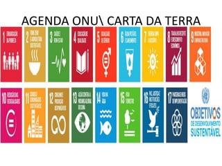 AGENDA ONU CARTA DA TERRA
 