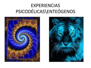 EXPERIENCIAS
PSICODÉLICASENTEÓGENOS
 