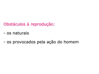 Obstáculos à reprodução:
- os naturais
- os provocados pela ação do homem
 
