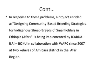 Progresses of designing community-based breeding strategies for indigenous sheep breeds of smallholders in Ethiopia (Afar Region)