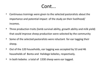 Progresses of designing community-based breeding strategies for indigenous sheep breeds of smallholders in Ethiopia (Afar Region)