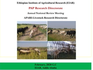 Ethiopian Institute of Agricultural Research (EIAR)
PAP Research Directorate
Annual National Review Meeting
APARI-Livestock Research Directorate
February, 2020 G.C
EIAR, Addis Ababa
 