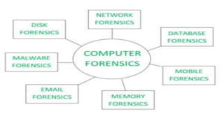 Digital Forensics: Concept, Stages, Guidelines, Techniques, and Data ...