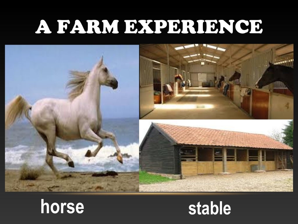 A farm experience animal habitat