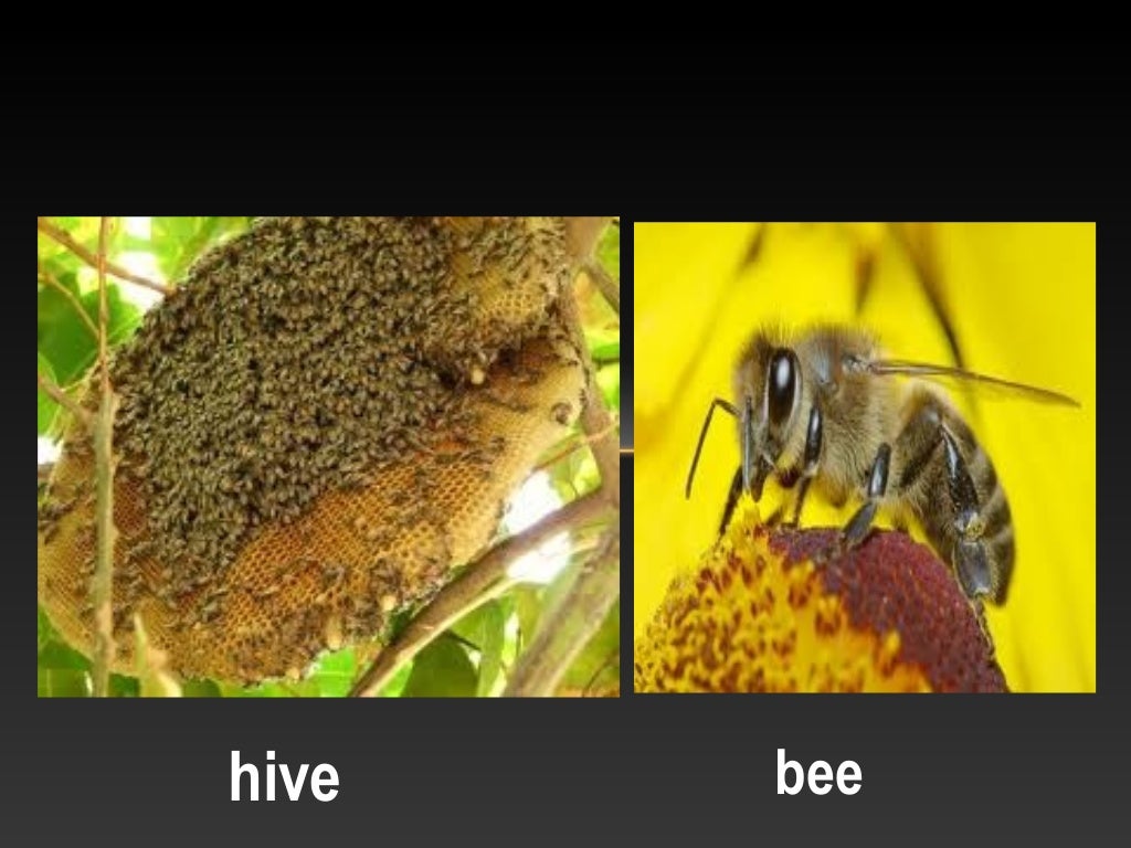 A farm experience animal habitat