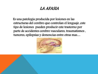 LA AFASIA
Es una patología producida por lesiones en las
estructuras del cerebro que controlan el lenguaje ,este
tipo de lesiones pueden producir este trastorno por
parte de accidentes cerebro vasculares, traumatismos ,
tumores, epilepsias y demencias entre otras mas…
 