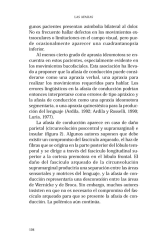 104 
LAS AFASIAS 
gunos pacientes presentan asimbolia bilateral al dolor. 
No es frecuente hallar defectos en los movimientos ex-traoculares 
o limitaciones en el campo visual, pero pue-de 
ocasionalmente aparecer una cuadrantanopsia 
inferior. 
Al menos cierto grado de apraxia ideomotora se en-cuentra 
en estos pacientes, especialmente evidente en 
los movimientos bucofaciales. Esta asociación ha lleva-do 
a proponer que la afasia de conducción puede consi-derarse 
como una apraxia verbal, una apraxia para 
realizar los movimientos requeridos para hablar. Los 
errores lingüísticos en la afasia de conducción podrían 
entonces interpretarse como errores de tipo apráxico y 
la afasia de conducción como una apraxia ideomotora 
segmentaría, o una apraxia quinestésica para la produc-ción 
del lenguaje (Ardila, 1992; Ardila y Rosselli, 1990; 
Luria, 1977). 
La afasia de conducción aparece en caso de daño 
parietal (circunvolución poscentral y supramarginal) e 
insular (figura 2). Algunos autores suponen que debe 
existir un compromiso del fascículo arqueado, el haz de 
fibras que se origina en la parte posterior del lóbulo tem-poral 
y se dirige a través del fascículo longitudinal su-perior 
a la corteza premotora en el lóbulo frontal. El 
daño del fascículo arqueado de la circunvolución 
supramarginal produciría una separación entre las áreas 
sensoriales y motrices del lenguaje, y la afasia de con-ducción 
representaría una desconexión entre las áreas 
de Wernicke y de Broca. Sin embargo, muchos autores 
insisten en que no es necesario el compromiso del fas-cículo 
arqueado para que se presente la afasia de con-ducción. 
La polémica aún continúa. 
 
