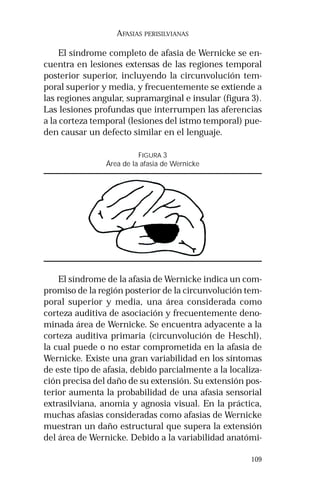 109 
AFASIAS PERISILVIANAS 
El síndrome completo de afasia de Wernicke se en-cuentra 
en lesiones extensas de las regiones temporal 
posterior superior, incluyendo la circunvolución tem-poral 
superior y media, y frecuentemente se extiende a 
las regiones angular, supramarginal e insular (figura 3). 
Las lesiones profundas que interrumpen las aferencias 
a la corteza temporal (lesiones del istmo temporal) pue-den 
causar un defecto similar en el lenguaje. 
FIGURA 3 
Área de la afasia de Wernicke 
El síndrome de la afasia de Wernicke indica un com-promiso 
de la región posterior de la circunvolución tem-poral 
superior y media, una área considerada como 
corteza auditiva de asociación y frecuentemente deno-minada 
área de Wernicke. Se encuentra adyacente a la 
corteza auditiva primaria (circunvolución de Heschl), 
la cual puede o no estar comprometida en la afasia de 
Wernicke. Existe una gran variabilidad en los síntomas 
de este tipo de afasia, debido parcialmente a la localiza-ción 
precisa del daño de su extensión. Su extensión pos-terior 
aumenta la probabilidad de una afasia sensorial 
extrasilviana, anomia y agnosia visual. En la práctica, 
muchas afasias consideradas como afasias de Wernicke 
muestran un daño estructural que supera la extensión 
del área de Wernicke. Debido a la variabilidad anatómi- 
 