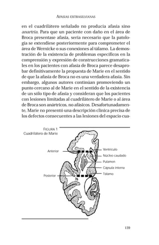 139 
AFASIAS EXTRASILVIANAS 
en el cuadrilátero señalado no producía afasia sino 
anartria. Para que un paciente con daño en el área de 
Broca presentase afasia, sería necesario que la patolo-gía 
se extendiese posteriormente para comprometer el 
área de Wernicke o sus conexiones al tálamo. La demos-tración 
de la existencia de problemas específicos en la 
comprensión y expresión de construcciones gramatica-les 
en los pacientes con afasia de Broca parece desapro-bar 
definitivamente la propuesta de Marie en el sentido 
de que la afasia de Broca no es una verdadera afasia. Sin 
embargo, algunos autores continúan promoviendo un 
punto cercano al de Marie en el sentido de la existencia 
de un sólo tipo de afasia y consideran que los pacientes 
con lesiones limitadas al cuadrilátero de Marie o al área 
de Broca son anártricos, no afásicos. Desafortunadamen-te, 
Marie no presentó una descripción clínica precisa de 
los defectos consecuentes a las lesiones del espacio cua- 
FIGURA 1 
Cuadrilátero de Marie 
Anterior 
Posterior 
Ventrículo 
Núcleo caudado 
Putamen 
Cápsula interna 
Tálamo 
 