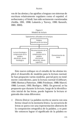 Subsistemas utilizados en la lectura 
Denominación de 
175 
ALEXIA 
vos de las alexias y las agrafias a lenguas con sistemas de 
escritura relativamente regulares como el español, el 
serbocroata y el hindi, han sido seriamente cuestionadas 
(Ardila, 1991, 1998; Lukatela y Turvey, 1990; Karanth, 
2001, 2003). 
Lectura fonológica 
comprensión de la 
palabra 
alteración: alexia 
fonológica 
Figura 4 
Modelo de lectura 
Palabra 
Identificación de letras 
Reconocimiento de la 
palabra 
comprensión de la 
palabra 
ruta lexical 
alteración: alexia 
superficie 
letras 
Este nuevo enfoque en el estudio de las alexias im-plicó 
el desarrollo de modelos para la lectura normal. 
Se han propuesto varios modelos, parcial pero no total-mente 
coincidentes, para la lectura normal (Coltheart, 
1980; Morton y Patterson, 1980; Friedman, 1988; Marcel, 
1980; Lecours, 1992; Roeltgen, 1985). En general, se ha 
propuesto que durante la lectura, luego de la identifica-ción 
inicial de las letras, puede lograrse la lectura si-guiendo 
dos rutas diferentes: 
1. Directa (léxica). La palabra escrita se asocia con una 
forma visual en la memoria léxica. La secuencia de 
letras se parea con una representación abstracta de 
la composición ortográfica de la palabra, y es posi-ble 
entonces lograr el significado de la palabra es- 
 