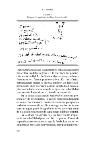 202 
LAS AFASIAS 
FIGURA 3 
Ejemplo de agrafia en la afasia de conducción 
Otras agrafias afásicas. Los pacientes con afasias globales 
presentan un defecto grave en la escritura. Su produc-ción 
es ininteligible, limitada a algunos rasgos o letras 
formados en forma perseverativa. En las afasias 
extrasilvianas mixtas se observa también un defecto so-bresaliente 
en la escritura aunque la habilidad para co-piar 
puede hallarse conservada, al igual que la habilidad 
para repetir. La escritura al dictado es imposible. 
En la afasia extrasilviana sensorial el paciente pre-senta 
olvido de nombres, lo que se manifiesta también 
en su escritura; es usual entonces encontrar paragrafias 
verbales en su escritura. Sin embargo, es frecuente en-contrar 
algún grado de agrafia en estos pacientes debi-do 
a la posible extensión de la patología al lóbulo parietal. 
En la alexia con agrafia hay un decremento impor-tante 
en la habilidad para escribir. La producción escri-ta 
puede aparecer como una agrafia fluida. Los trastornos 
lingüísticos asociados son variables, pero pueden incluir 
 