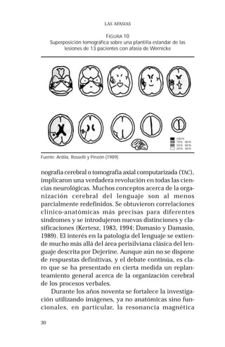 Fuente: Ardila, Rosselli y Pinzón (1989). 
30 
LAS AFASIAS 
FIGURA 10 
Superposición tomográfica sobre una plantilla estandar de las 
lesiones de 13 pacientes con afasia de Wernicke 
nografía cerebral o tomografía axial computarizada (TAC), 
implicaron una verdadera revolución en todas las cien-cias 
neurológicas. Muchos conceptos acerca de la orga-nización 
cerebral del lenguaje son al menos 
parcialmente redefinidos. Se obtuvieron correlaciones 
clínico-anatómicas más precisas para diferentes 
síndromes y se introdujeron nuevas distinciones y cla-sificaciones 
(Kertesz, 1983, 1994; Damasio y Damasio, 
1989). El interés en la patología del lenguaje se extien-de 
mucho más allá del área perisilviana clásica del len-guaje 
descrita por Dejerine. Aunque aún no se dispone 
de respuestas definitivas, y el debate continúa, es cla-ro 
que se ha presentado en cierta medida un replan-teamiento 
general acerca de la organización cerebral 
de los procesos verbales. 
Durante los años noventa se fortalece la investiga-ción 
utilizando imágenes, ya no anatómicas sino fun-cionales, 
en particular, la resonancia magnética 
 