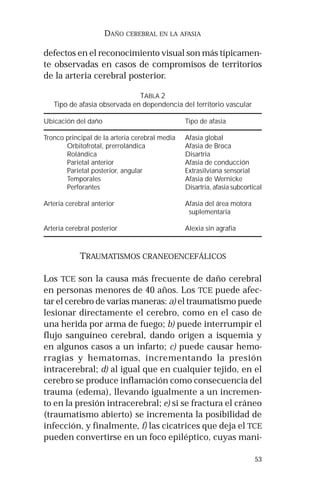 53 
DAÑO CEREBRAL EN LA AFASIA 
defectos en el reconocimiento visual son más típicamen-te 
observadas en casos de compromisos de territorios 
de la arteria cerebral posterior. 
TABLA 2 
Tipo de afasia observada en dependencia del territorio vascular 
Ubicación del daño Tipo de afasia 
Tronco principal de la arteria cerebral media Afasia global 
Orbitofrotal, prerrolándica Afasia de Broca 
Rolándica Disartria 
Parietal anterior Afasia de conducción 
Parietal posterior, angular Extrasilviana sensorial 
Temporales Afasia de Wernicke 
Perforantes Disartria, afasia subcortical 
Arteria cerebral anterior Afasia del área motora 
suplementaria 
Arteria cerebral posterior Alexia sin agrafia 
TRAUMATISMOS CRANEOENCEFÁLICOS 
Los TCE son la causa más frecuente de daño cerebral 
en personas menores de 40 años. Los TCE puede afec-tar 
el cerebro de varias maneras: a) el traumatismo puede 
lesionar directamente el cerebro, como en el caso de 
una herida por arma de fuego; b) puede interrumpir el 
flujo sanguíneo cerebral, dando origen a isquemia y 
en algunos casos a un infarto; c) puede causar hemo-rragias 
y hematomas, incrementando la presión 
intracerebral; d) al igual que en cualquier tejido, en el 
cerebro se produce inflamación como consecuencia del 
trauma (edema), llevando igualmente a un incremen-to 
en la presión intracerebral; e) si se fractura el cráneo 
(traumatismo abierto) se incrementa la posibilidad de 
infección, y finalmente, f) las cicatrices que deja el TCE 
pueden convertirse en un foco epiléptico, cuyas mani- 
 