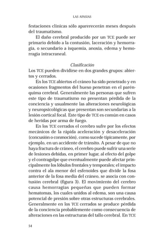 54 
LAS AFASIAS 
festaciones clínicas sólo aparerecerán meses después 
del traumatismo. 
El daño cerebral producido por un TCE puede ser 
primario debido a la contusión, laceración y hemorra-gia, 
o secundario a isquemia, anoxia, edema y hemo-rragia 
intracraneal. 
Clasificación 
Los TCE pueden dividirse en dos grandes grupos: abier-tos 
y cerrados. 
En los TCE abiertos el cráneo ha sido penetrado y en 
ocasiones fragmentos del hueso penetran en el parén-quima 
cerebral. Generalmente las personas que sufren 
este tipo de traumatismo no presentan pérdida de la 
conciencia y usualmente las alteraciones neurológicas 
y neuropsicológicas que presentan son secundarias a la 
lesión cortical focal. Este tipo de TCE es común en casos 
de heridas por arma de fuego. 
En los TCE cerrados el cerebro sufre por los efectos 
mecánicos de la rápida aceleración y desaceleración 
(concusión o conmoción), como sucede típicamente, por 
ejemplo, en un accidente de tránsito. A pesar de que no 
haya fractura de cráneo, el cerebro puede sufrir una serie 
de lesiones debidas, en primer lugar, al efecto del golpe 
y el contragolpe que eventualmente puede afectar prin-cipalmente 
los lóbulos frontales y temporales; el impacto 
contra el ala menor del esfenoides que divide la fosa 
anterior de la fosa media del cráneo, se asocia con con-tusión 
cerebral (figura 3). El movimiento del cerebro 
causa hemorragias pequeñas que pueden formar 
hematomas, los cuales unidos al edema, son una causa 
potencial de presión sobre otras estructuras cerebrales. 
Generalmente en los TCE cerrados se produce pérdida 
de la conciencia probablemente como consecuencia de 
alteraciones en las estructuras del tallo cerebral. En TCE 
 