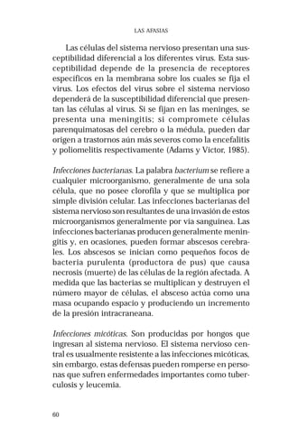 60 
LAS AFASIAS 
Las células del sistema nervioso presentan una sus-ceptibilidad 
diferencial a los diferentes virus. Esta sus-ceptibilidad 
depende de la presencia de receptores 
específicos en la membrana sobre los cuales se fija el 
virus. Los efectos del virus sobre el sistema nervioso 
dependerá de la susceptibilidad diferencial que presen-tan 
las células al virus. Si se fijan en las meninges, se 
presenta una meningitis; si compromete células 
parenquimatosas del cerebro o la médula, pueden dar 
origen a trastornos aún más severos como la encefalitis 
y poliomelitis respectivamente (Adams y Victor, 1985). 
Infecciones bacterianas. La palabra bacterium se refiere a 
cualquier microorganismo, generalmente de una sola 
célula, que no posee clorofila y que se multiplica por 
simple división celular. Las infecciones bacterianas del 
sistema nervioso son resultantes de una invasión de estos 
microorganismos generalmente por vía sanguínea. Las 
infecciones bacterianas producen generalmente menin-gitis 
y, en ocasiones, pueden formar abscesos cerebra-les. 
Los abscesos se inician como pequeños focos de 
bacteria purulenta (productora de pus) que causa 
necrosis (muerte) de las células de la región afectada. A 
medida que las bacterias se multiplican y destruyen el 
número mayor de células, el absceso actúa como una 
masa ocupando espacio y produciendo un incremento 
de la presión intracraneana. 
Infecciones micóticas. Son producidas por hongos que 
ingresan al sistema nervioso. El sistema nervioso cen-tral 
es usualmente resistente a las infecciones micóticas, 
sin embargo, estas defensas pueden romperse en perso-nas 
que sufren enfermedades importantes como tuber-culosis 
y leucemia. 
 