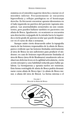97 
AFASIAS PERISILVIANAS 
máxima en el miembro superior derecho y menor en el 
miembro inferior. Frecuentemente se encuentra 
hiperreflexia y reflejos patológicos en el hemicuepo 
derecho. Es frecuente encontrar apraxia ideomotora en 
el lado izquierdo no parético del paciente (apraxia sim-pática). 
Las anormalidades sensoriales no son consis-tentes, 
pero pueden hallarse también en pacientes con 
afasia de Broca. Igualmente, en ocasiones se encuentra 
una desviación conjugada de la mirada hacia la izquier-da 
o cierto grado de paresia ocular que puede desapare-cer 
en el curso de días o semanas. 
Aunque existe cierto desacuerdo sobre la topografía 
exacta de las lesiones responsables de la afasia de Broca, 
parece evidente que las lesiones limitadas estrictamente 
al área de Broca no son suficientes para producir el sín-drome; 
en caso de lesiones específicamente limitadas al 
área de Broca (área 44 de Brodmann) usualmente sólo se 
observan defectos leves en la agilidad articulatoria, cierto 
acento extranjero y una habilidad reducida para hallar pa-labras. 
La hemiparesia y apraxia suelen ser mínimas. 
Esta forma restringida de afasia de Broca podría denomi-narse 
como afasia de Broca tipo I (o afasia de Broca me-nor, 
o afasia del área de Broca). La forma extensa o el 
FIGURA 1 
Área de la afasia de Broca 
 