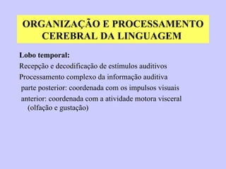 ORGANIZAÇÃO E PROCESSAMENTO CEREBRAL DA LINGUAGEM   Lobo temporal: Recepção e decodificação de estímulos auditivos Processamento complexo da informação auditiva parte posterior: coordenada com os impulsos visuais anterior: coordenada com a atividade motora visceral (olfação e gustação) 