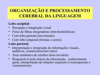 ORGANIZAÇÃO E PROCESSAMENTO CEREBRAL DA LINGUAGEM Lobo occipital:   Recepção e integração visual Feixe de fibras integradoras intra-hemisféricas: Com lobo parietal (movimento) Com lobo temporal (formas e cores); Lobo parietal: Interpretação e integração de informações visuais, auditivas, somatosensoriais (tato). Área semântica do cérebro (área terciária)  Responsável pela síntese da informação,  conhecimento geral, interpretação de relações espaciais (visuoespaciais e visuomotoras) 