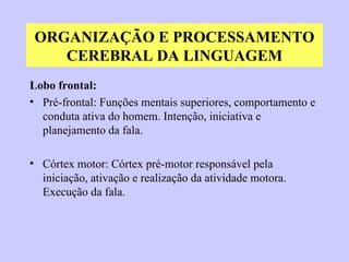 ORGANIZAÇÃO E PROCESSAMENTO CEREBRAL DA LINGUAGEM Lobo frontal: Pré-frontal: Funções mentais superiores, comportamento e conduta ativa do homem. Intenção, iniciativa e planejamento da fala. Córtex motor: Córtex pré-motor responsável pela iniciação, ativação e realização da atividade motora. Execução da fala. 