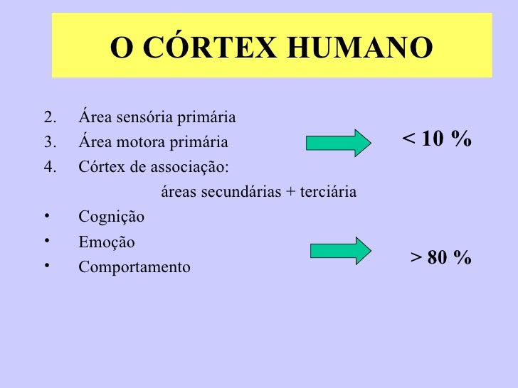 Tipos de exames ginecologicos