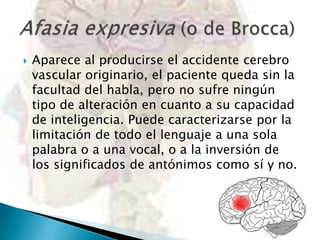 

Aparece al producirse el accidente cerebro
vascular originario, el paciente queda sin la
facultad del habla, pero no sufre ningún
tipo de alteración en cuanto a su capacidad
de inteligencia. Puede caracterizarse por la
limitación de todo el lenguaje a una sola
palabra o a una vocal, o a la inversión de
los significados de antónimos como sí y no.

 
