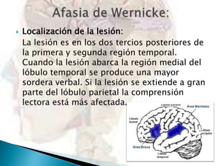 

Localización de la lesión:
La lesión es en los dos tercios posteriores de
la primera y segunda región temporal.
Cuando la lesión abarca la región medial del
lóbulo temporal se produce una mayor
sordera verbal. Si la lesión se extiende a gran
parte del lóbulo parietal la comprensión
lectora está más afectada.

 