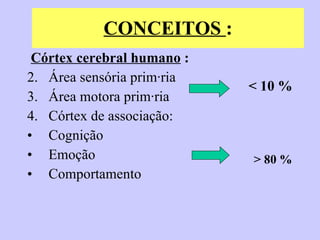 CONCEITOS  : Córtex cerebral humano  : Área sensória primária Área motora primária Córtex de associação: Cognição  Emoção  Comportamento  < 10 % > 80 % 