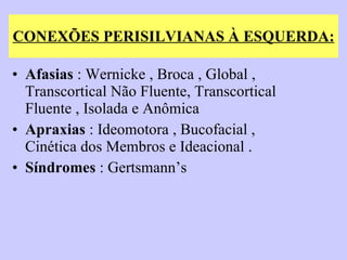 CONEXÕES PERISILVIANAS À ESQUERDA: Afasias  : Wernicke , Broca , Global , Transcortical Não Fluente, Transcortical Fluente , Isolada e Anômica  Apraxias  : Ideomotora , Bucofacial , Cinética dos Membros e Ideacional . Síndromes  : Gertsmann’s  