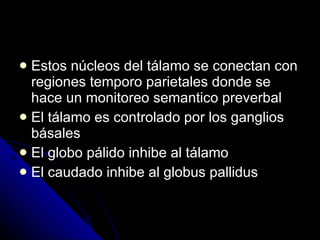 Estos núcleos del tálamo se conectan con regiones temporo parietales donde se hace un monitoreo semantico preverbal El tálamo es controlado por los ganglios básales El globo pálido inhibe al tálamo El caudado inhibe al globus pallidus 